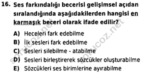 auzef cocukgelisimlisans 96 16