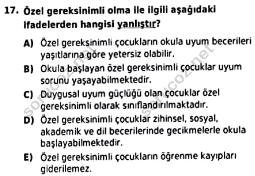 auzef cocukgelisimlisans 96 17