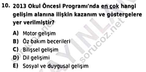 auzef cocukgelisimlisans 96 10