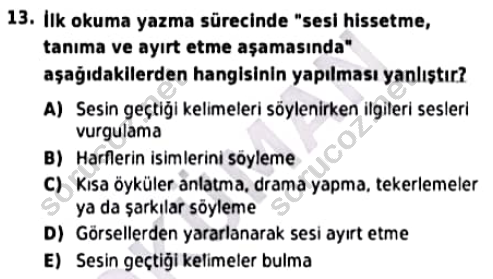 auzef cocukgelisimlisans 96 13