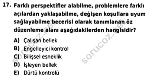 auzef cocukgelisimlisans 96 17