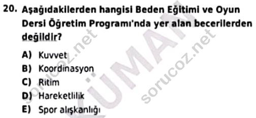 auzef cocukgelisimlisans 96 20