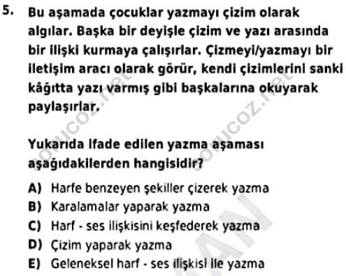 auzef cocukgelisimlisans 96 5