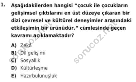 auzef cocukgelisimlisans 96 1