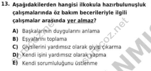 auzef cocukgelisimlisans 96 13