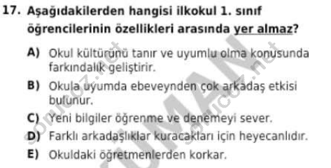 auzef cocukgelisimlisans 96 17