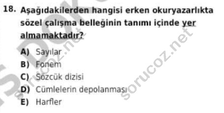 auzef cocukgelisimlisans 96 18