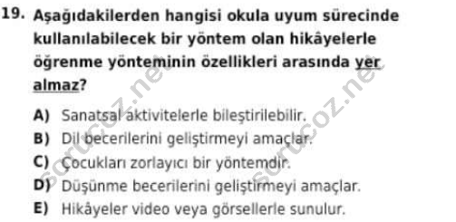 auzef cocukgelisimlisans 96 19