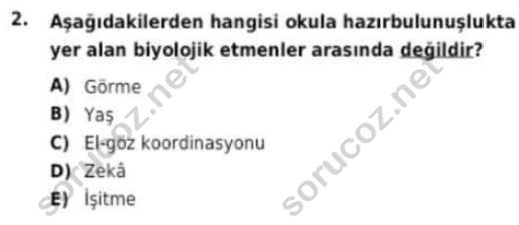 auzef cocukgelisimlisans 96 2