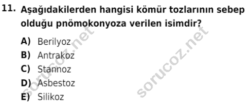 auzef isglisans 323 11