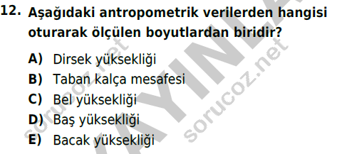 auzef 002498