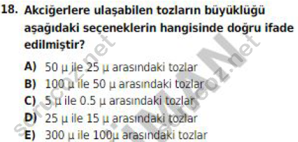 auzef 002524