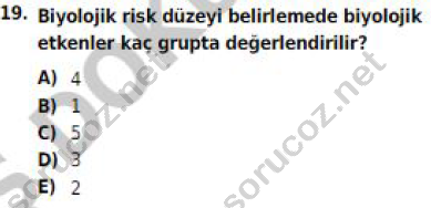 auzef 002525