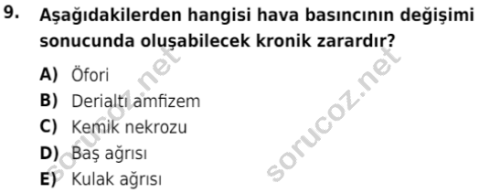 auzef isglisans 323 9