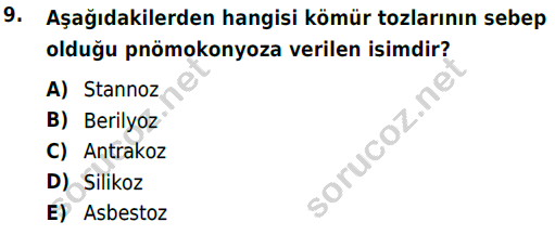 auzef 002475