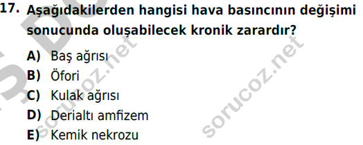 auzef 002483