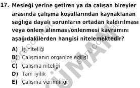 auzef isgonlisans 1001 17