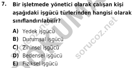 auzef egzersizvespor 107 7