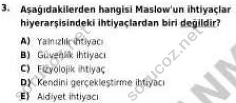 auzef egzersizvespor 107 3