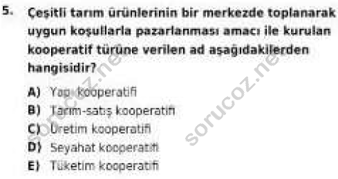 auzef egzersizvespor 107 5