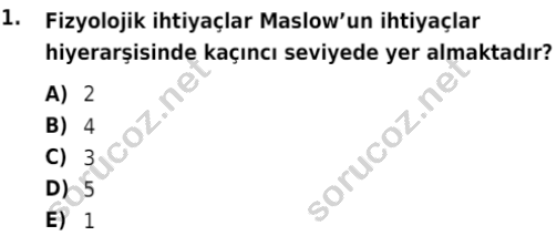 auzef egzersizvespor 107 1