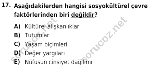 auzef egzersizvespor 107 17