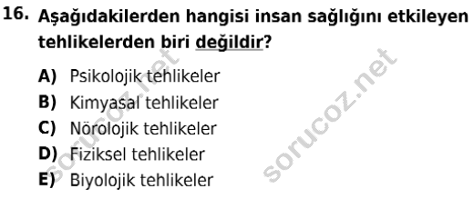 auzef isglisans 365 16