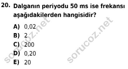 auzef isglisans 365 20