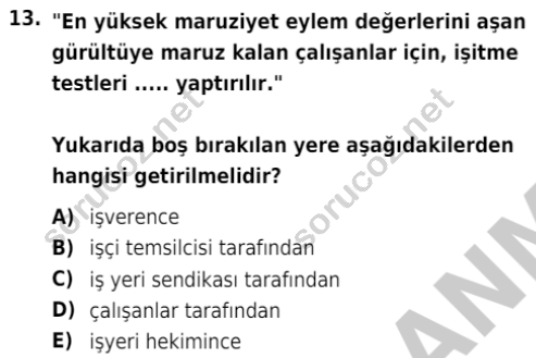 auzef isglisans 365 13