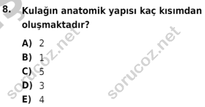 auzef isglisans 365 8