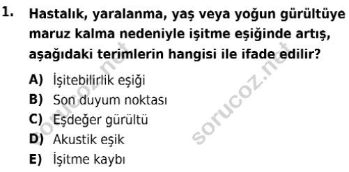 auzef isglisans 365 1