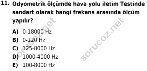 auzef isglisans 365 11