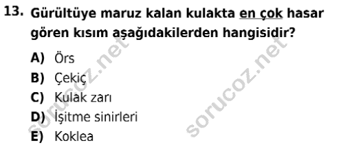 auzef isglisans 365 13