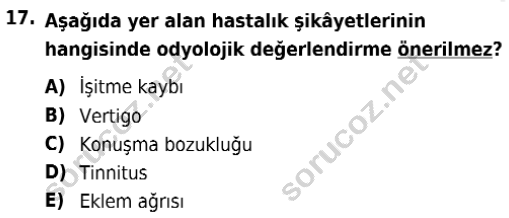 auzef isglisans 365 17