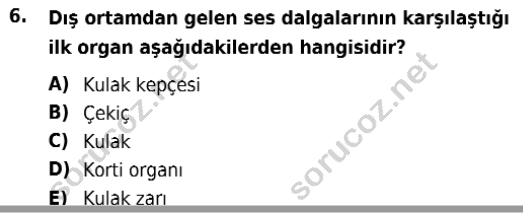 auzef isglisans 365 6