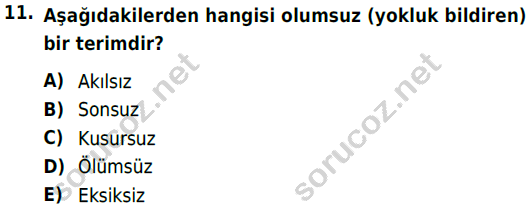 auzef 002778