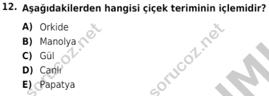 auzef 002819