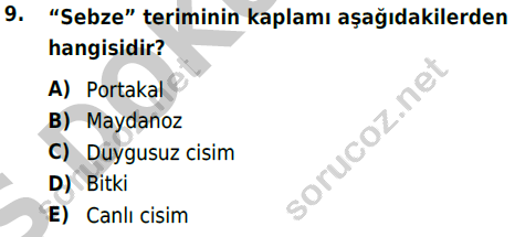 auzef 002735
