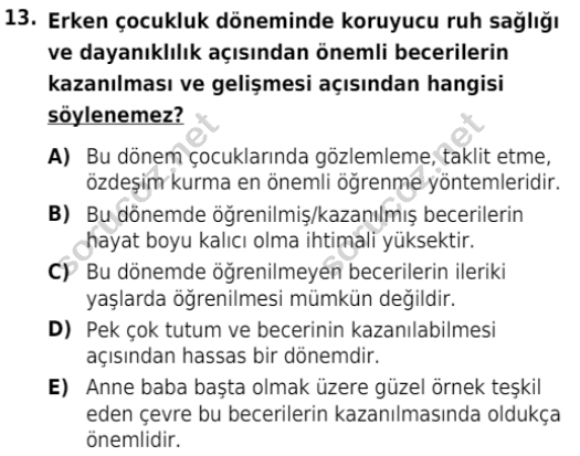 auzef cocukgelisimlisans 82 13