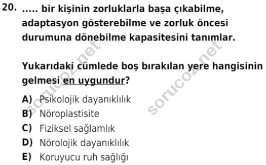 auzef cocukgelisimlisans 82 20