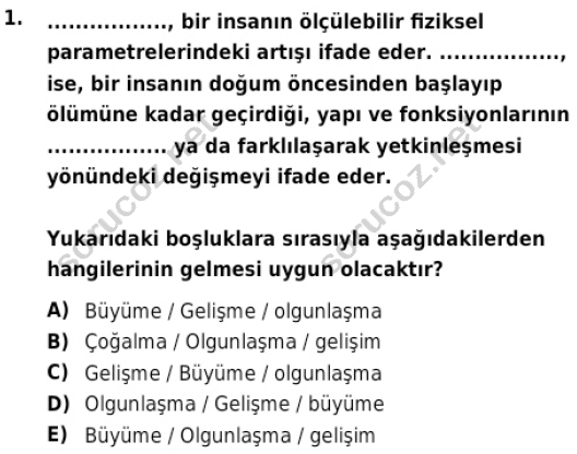 auzef cocukgelisimlisans 82 1