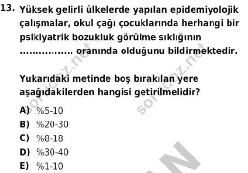 auzef cocukgelisimlisans 82 13