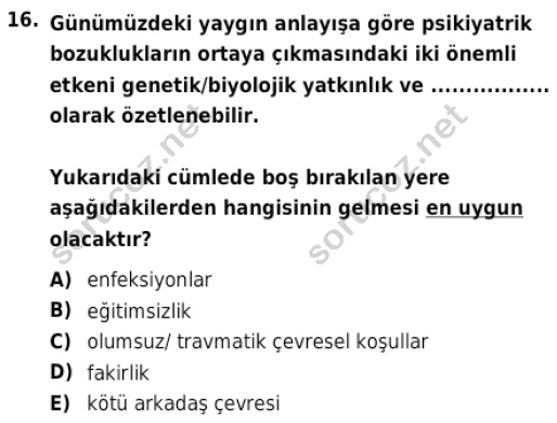 auzef cocukgelisimlisans 82 16