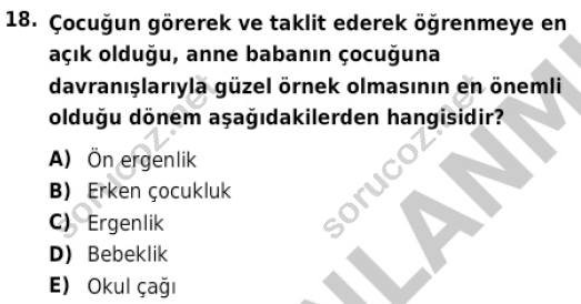 auzef cocukgelisimlisans 82 18