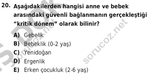 auzef cocukgelisimlisans 82 20