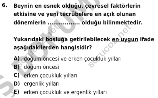 auzef cocukgelisimlisans 82 6