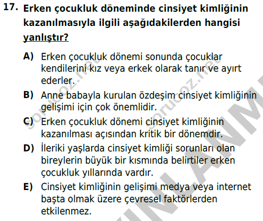 auzef cocukgelisimlisans 82 17