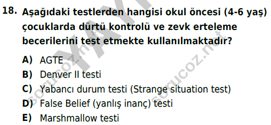 auzef cocukgelisimlisans 82 18