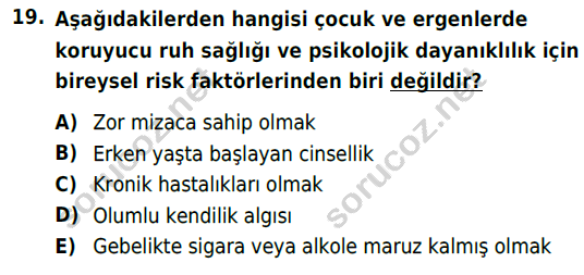 auzef cocukgelisimlisans 82 19