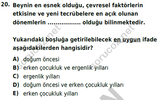 auzef cocukgelisimlisans 82 20